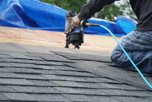 Best Roof Waterproofing Services  in Brilliant, AL