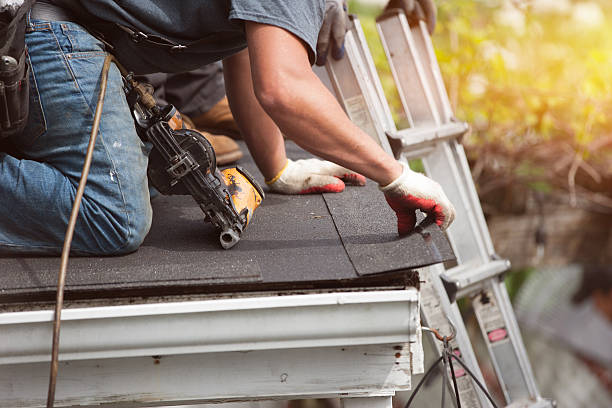 Best Storm Damage Roof Repair  in Brilliant, AL