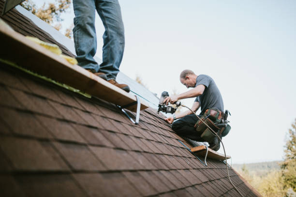 Best Emergency Roof Repair  in Brilliant, AL
